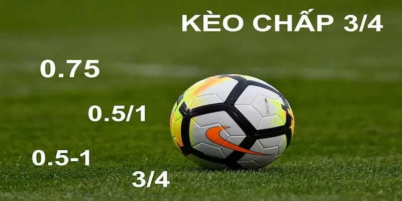 Những tỷ lệ cược có trong kèo chấp 3/4 tại nhà cái 69VN